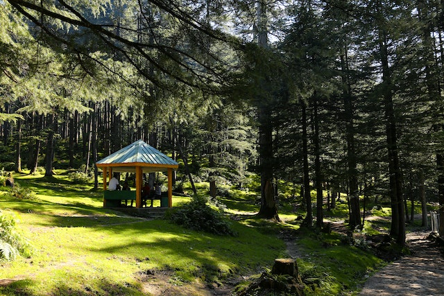 4 Tips to Find the Perfect Gazebo for Your Garden 4 Tips to Find the Perfect Gazebo for Your Garden
