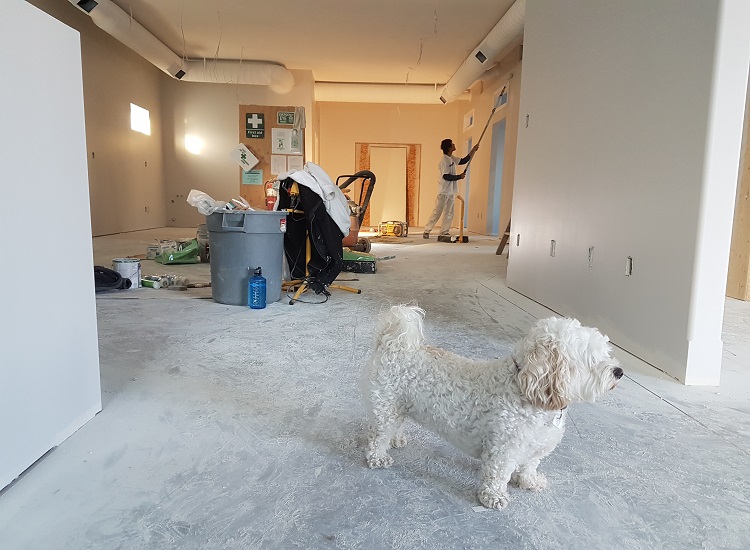 Remodeling Your Home Can Offer Several Benefits Remodeling Your Home Can Offer Several Benefits