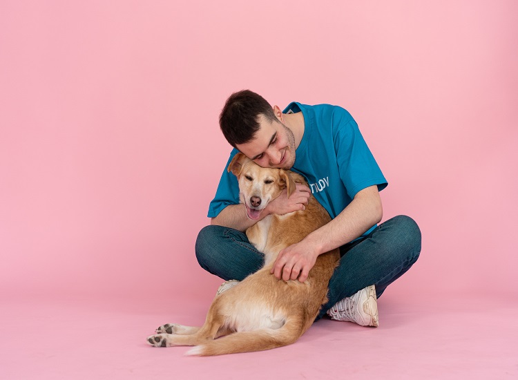 Why Adopting an Older Pet is Right for You